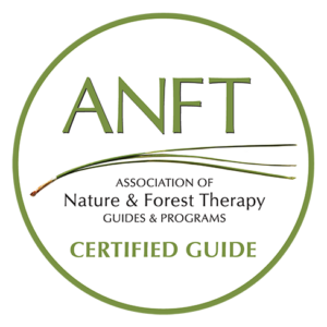 Nature & Forest Therapy